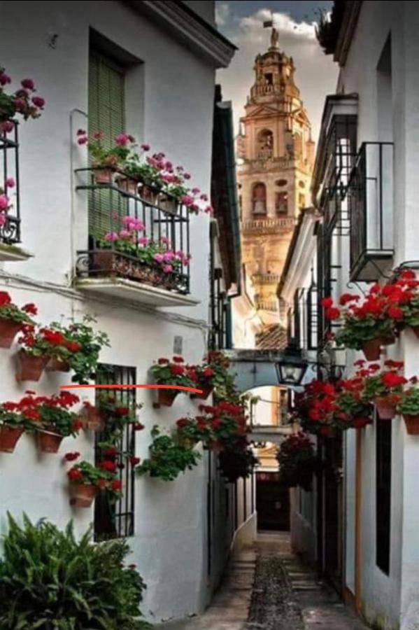 Apartamento La Magdalena Córdoba Buitenkant foto